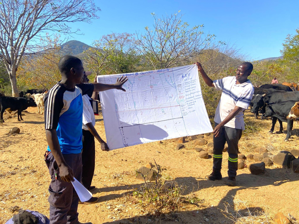 Holistic Land and Livestock Management gives lifeline to farmers in Chimanimani