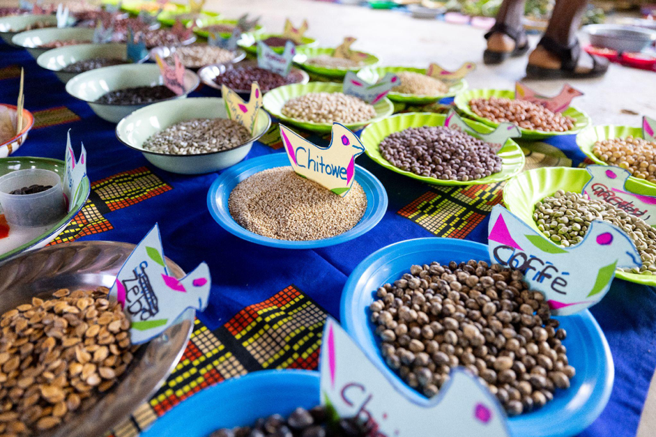 District seed and food festivals propel resilience