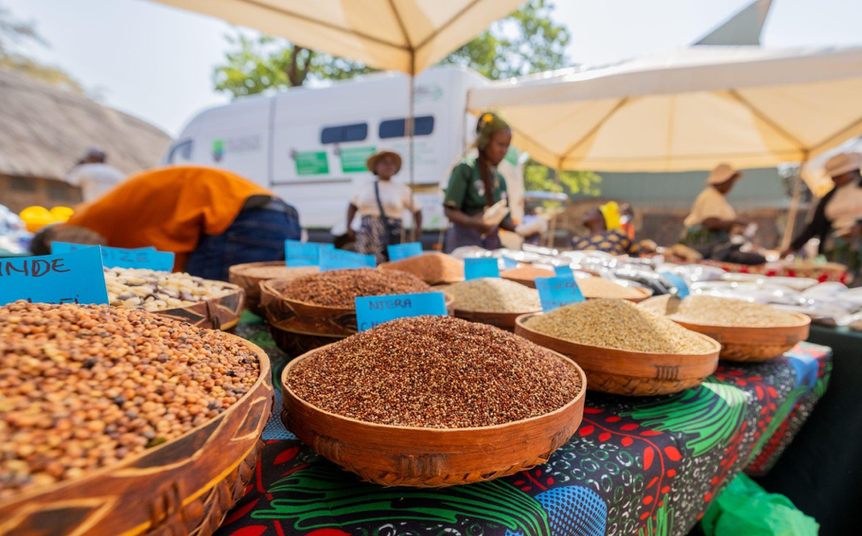 Local farmers benefit from increased resilience through coordinated seed work