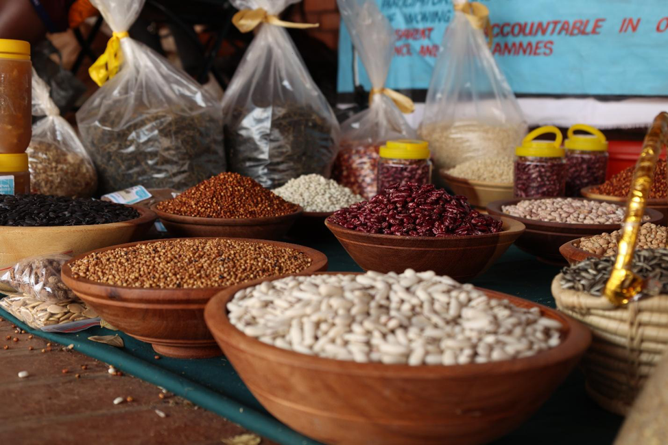 Women farmers in Makonde create agroecology synergies to improve livelihoods