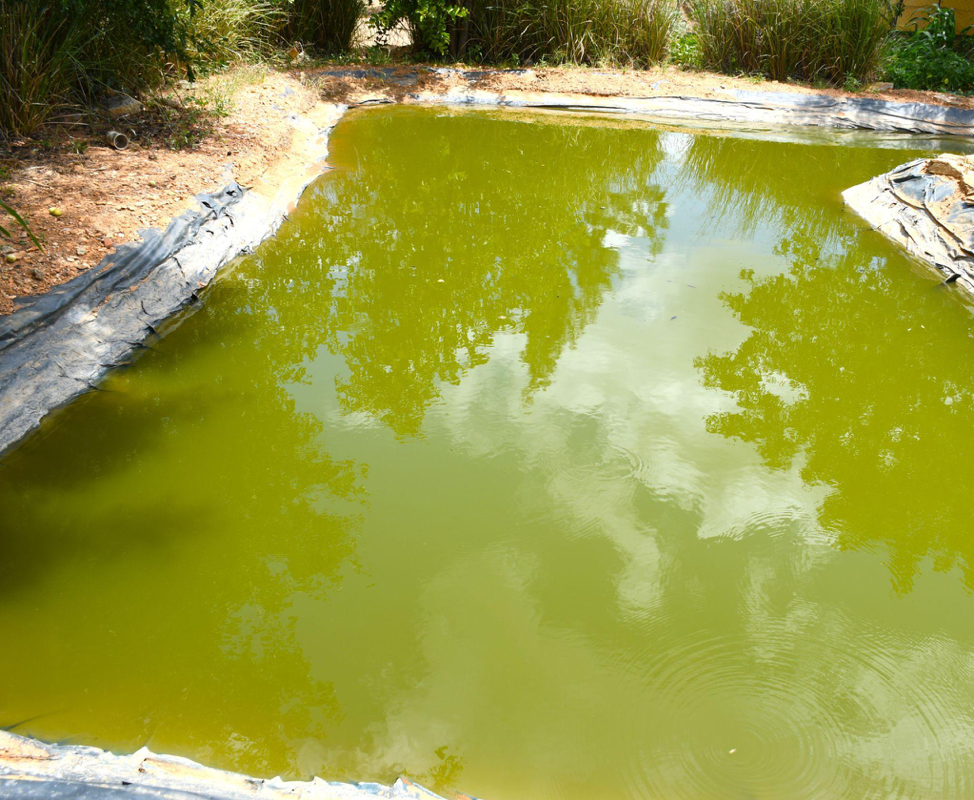 Agroecology Opening New Pathways for Youth Farmers