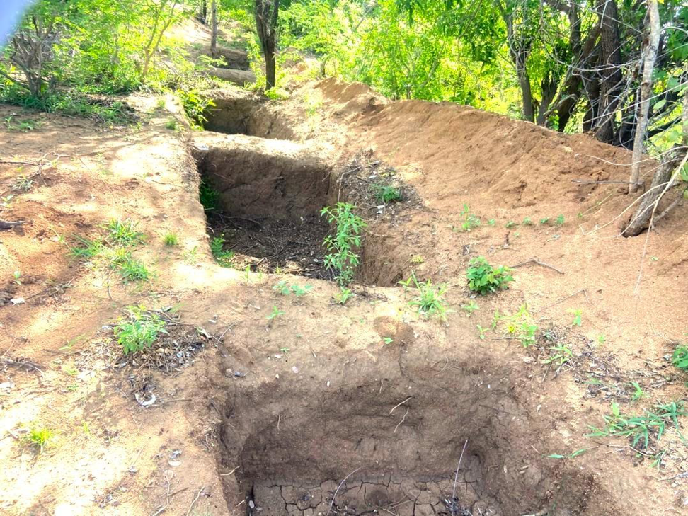 Permaculture produces multiple benefits for farmers