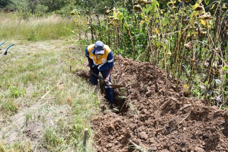 Youth Led Agroecology Transforms Farming and Food Security in Chikukwa