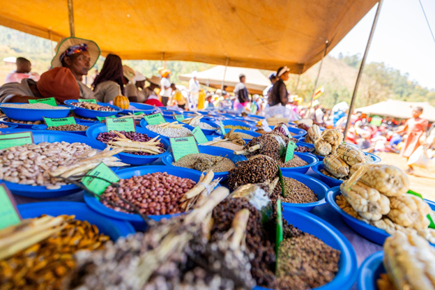 Local farmer embraces traditional seeds for food and seed sovereignty