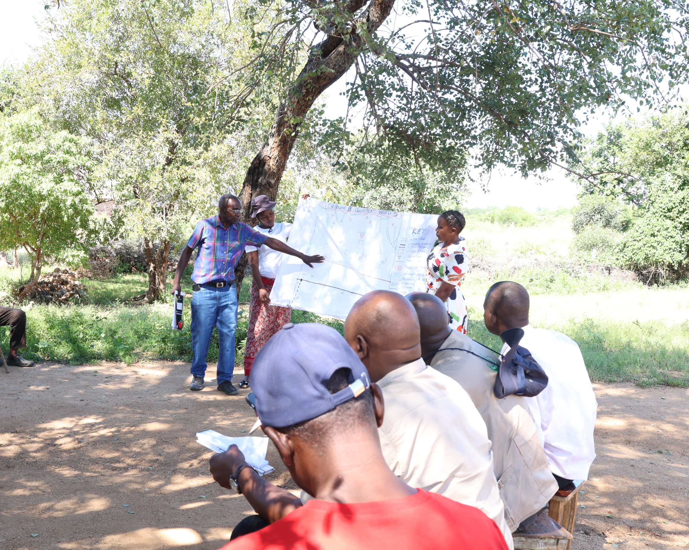 Promoting Sustainable Farming Through Holistic Land and Livestock Management in Chimanimani