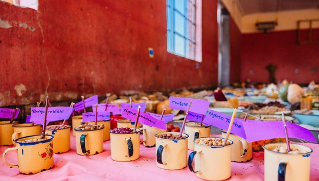 District and National Good Seed and Food Festivals Reviving Traditional Foods and Strengthening Community Livelihoods
