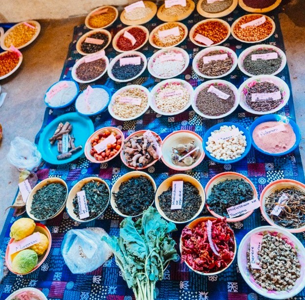 Women Reviving Traditional Foods and Transforming Livelihoods Through Collective Action